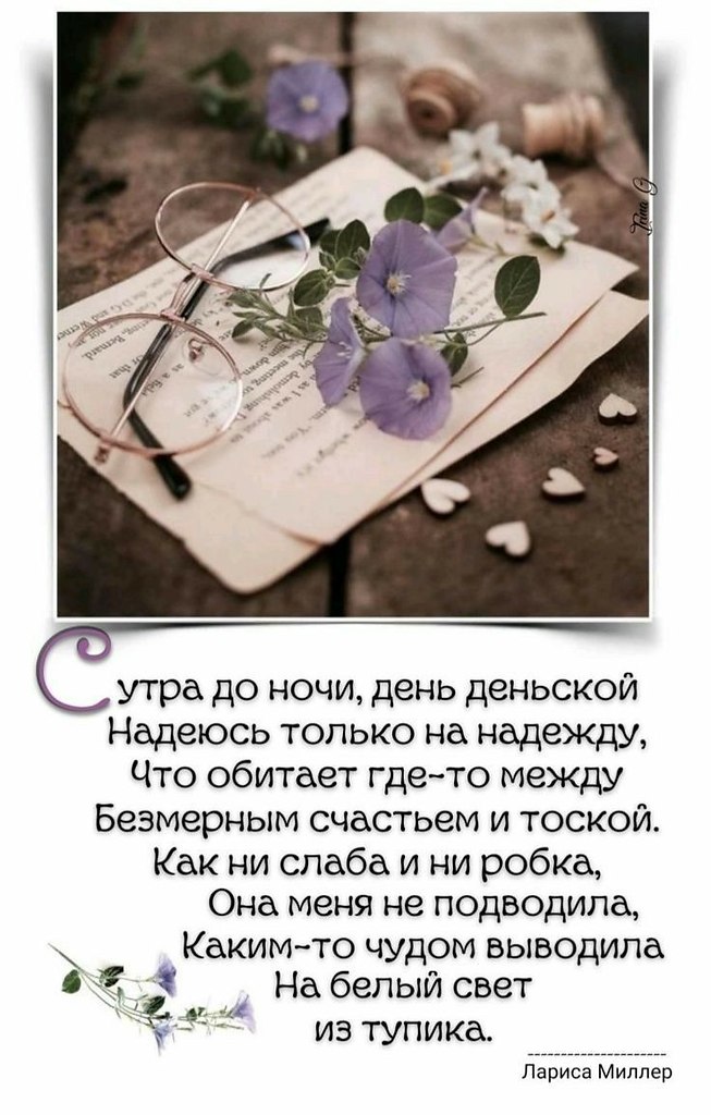   ,    . - 3  2023  23:08