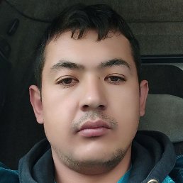 ������, ������, 33 ����