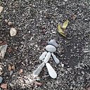 ���� ����, ����������, 46 ��� - ��������� 30 �������� 2023 � ������ ���� ����������