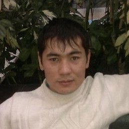 ����, �������, 37 ���