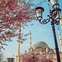 ���� �����, ���������, 63 ���� - ��������� 14 �������� 2023 � ������ ���� ����������