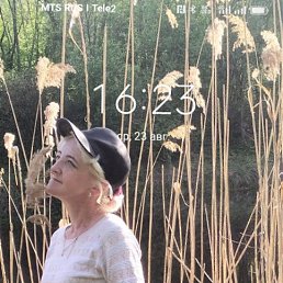 ���� �������, ������, 49 ��� - ��������� 21 �������� 2023