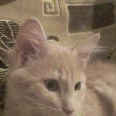 ���� Aleksandr, �������, 42 ���� - ��������� 1 ����� 2023