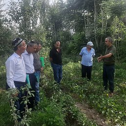 ����������, �����-���������, 37 ���