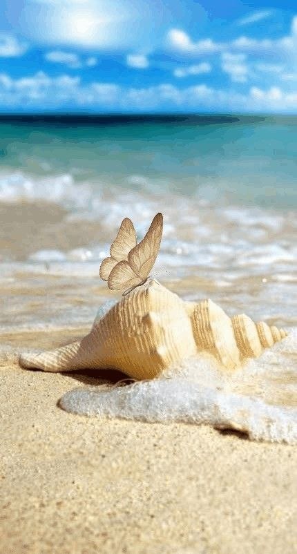 Разрешайте себе дышать… даже в самые тяжёлые времена….Ведь никто не вернёт нам наши тридцать, сорок, ...