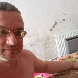 �����, �������, 43 ����