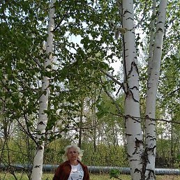 ������, �����������, 66 ���