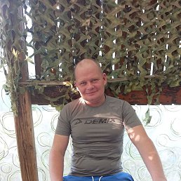 ������, ���������, 41 ���