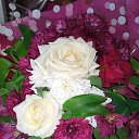 ���� �����, ���������, 40 ��� - ��������� 24 ��� 2023