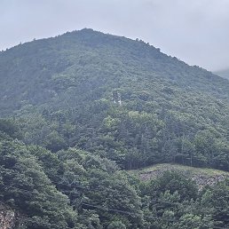 ���, ����, 37 ���