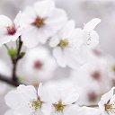 ���� Alexander, ���������, 65 ��� - ��������� 11 ����� 2023