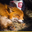 ���� Mariya, �����������, 32 ���� - ��������� 24 ��� 2023