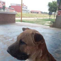 Mary, �����, 37 ���