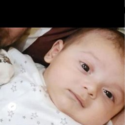 �����, ���������, 38 ���