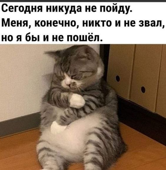   - 18  2023  08:52