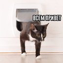 ���� �����, �������, 35 ��� - ��������� 1 ���� 2023 � ������ ���� ����������