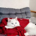 ���������� �� ������� �������