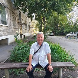 ���� ������, �������, 56 ��� - ��������� 24 �������� 2023