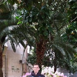 �����, ����