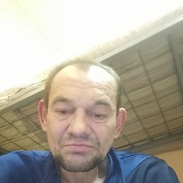 , 55 , 