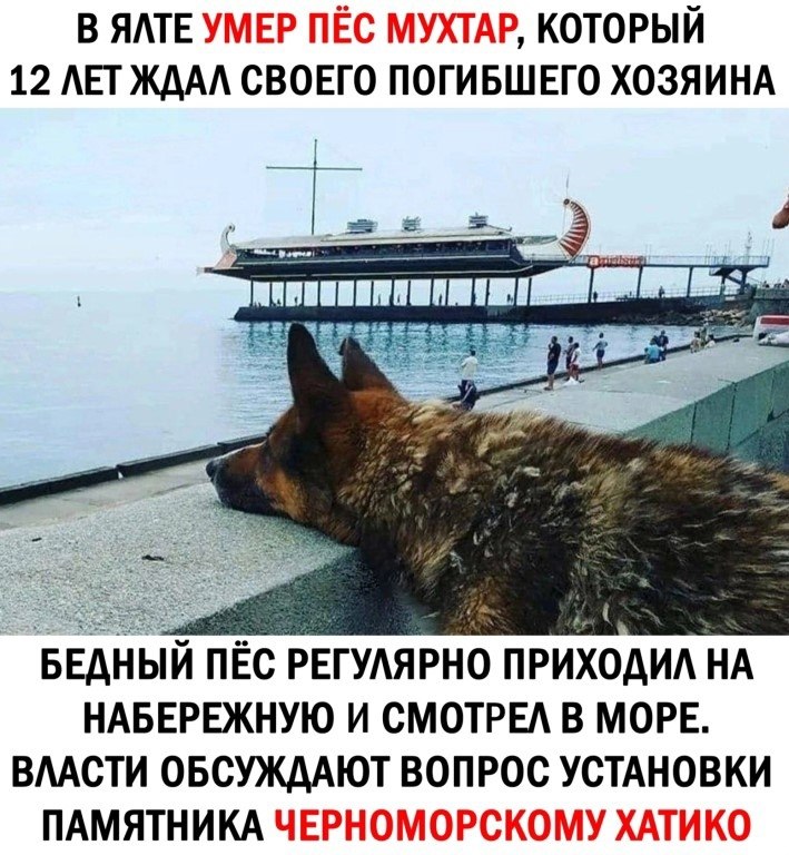   - 26  2023  12:28
