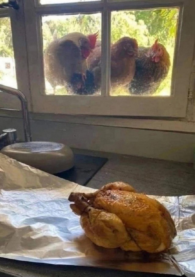  - 11  2023  19:36