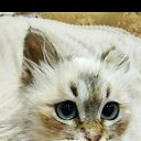  ,  , 46  -  31  2023    