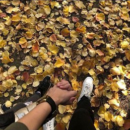 �����, �����-���������, 32 ����