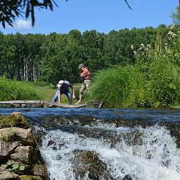 ����, �����������, 37 ���