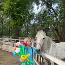 ���� ���, ������, 46 ��� - ��������� 2 ���� 2023 � ������ ���� ����������