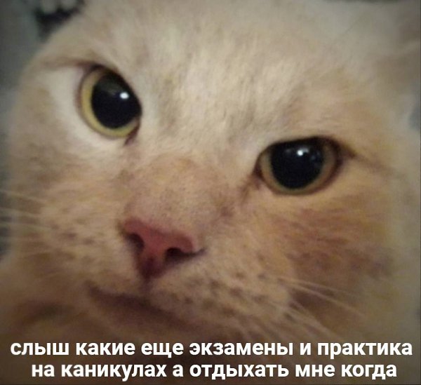    - 24  2023  12:41