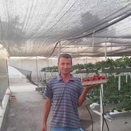 ���� �����, ������, 54 ���� - ��������� 16 ������� 2023