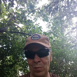 ��������, ������, 67 ���