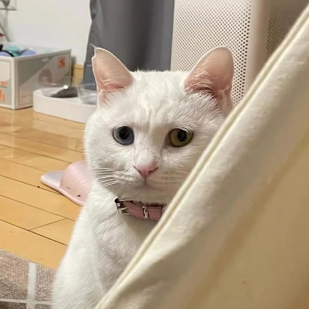   .   .    ?
