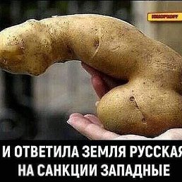 ����, ������, 39 ���