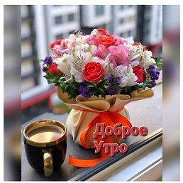 �����, ������, 58 ���