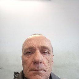 , 54 , 