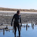 ���� �����, ������, 37 ��� - ��������� 10 ���� 2023 � ������ ���� ����������