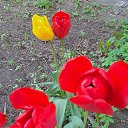 ���� �����, ������, 35 ��� - ��������� 5 ��� 2023 � ������ ���� ����������