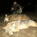 ���� �����, ��������, 47 ��� - ��������� 2 ������� 2023 � ������ ���� ����������