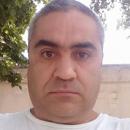 ������, �����, 49 ���