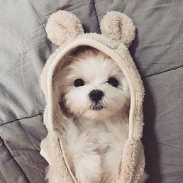 Yaroslav, ������, 23 ����