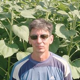 ����, ���������, 55 ���