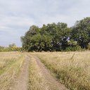 ���� �������, ��������� - ��������� 24 ������� 2023 � ������ ���� ����������