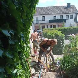 ������, ����, 37 ���