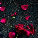 ���� Kashif Khan, ������, 34 ���� - ��������� 17 ������� 2023