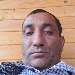 �����, ������, 37 ���