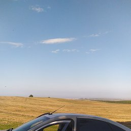 ����, ������, 37 ���