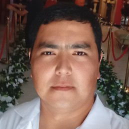 ����, �����, 33 ����