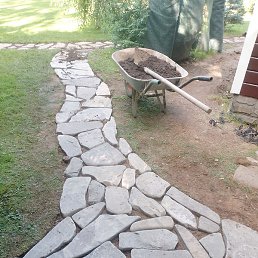 ���������, �����-���������, 37 ���